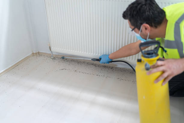 Best Pest Inspection Near Me  in Broadview Heights, OH
