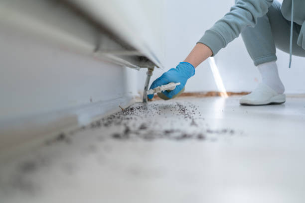 Best Pest Control for Homes  in Broadview Heights, OH