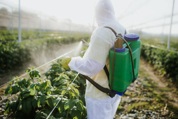 Pest Control Cost in Broadview Heights, OH